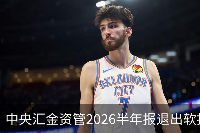 中央汇金资管2026半年报退出软控股份前十大股东名单