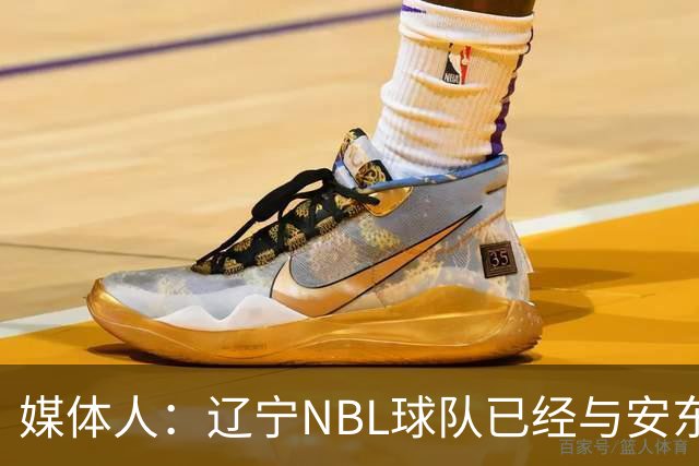 媒体人：辽宁NBL球队已经与安东尼取得联系