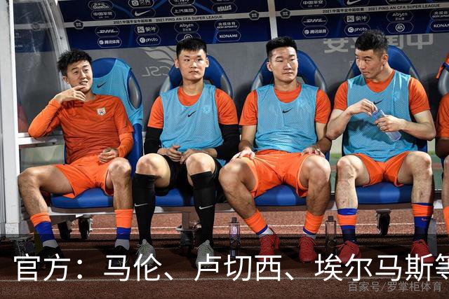官方：马伦、卢切西、埃尔马斯等5人下轮意甲停赛