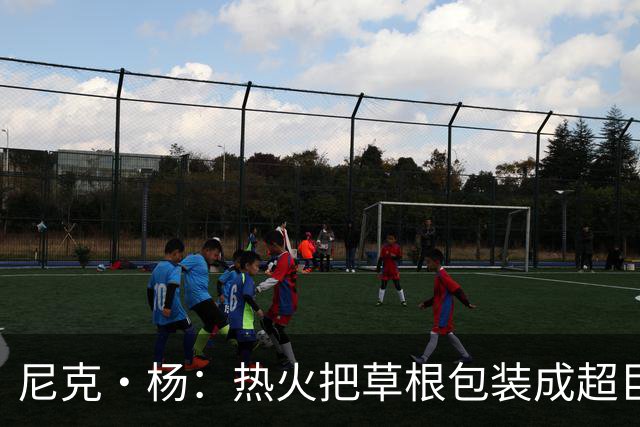 尼克·杨：热火把草根包装成超巨，这全是莱利的责任