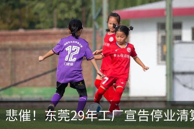 悲催！东莞29年工厂宣告停业清算，老板拟变卖厂房地皮优先发放员工工资，公告一出引发全网热议
