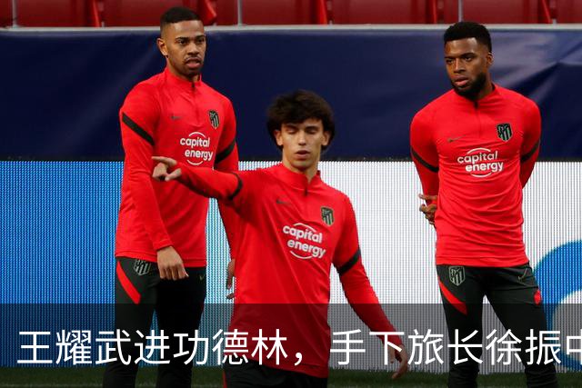 王耀武进功德林，手下旅长徐振中被许世友点名枪决，宽大政策因何独对他例外