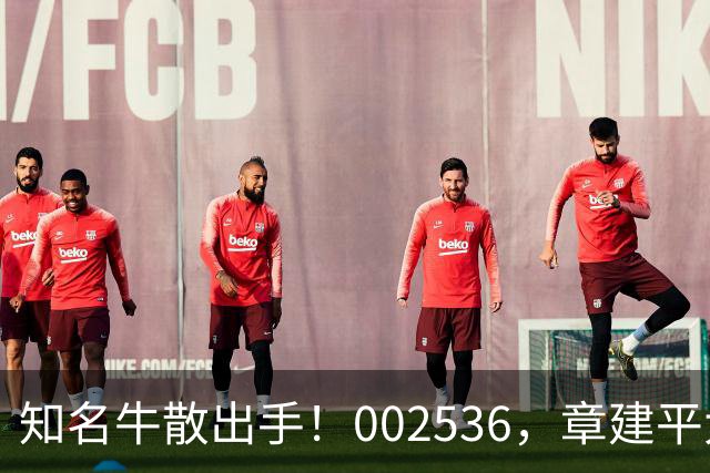 知名牛散出手！002536，章建平大举买入