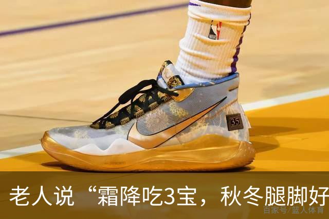 老人说“霜降吃3宝，秋冬腿脚好”，这“3宝”到底是啥？家常做法换着做，腿脚有劲过秋冬！