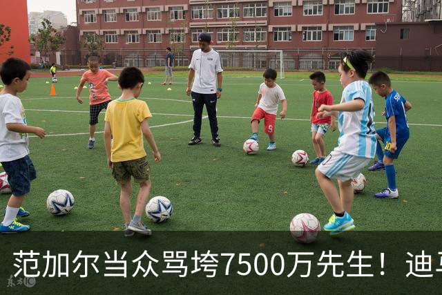范加尔当众骂垮7500万先生！迪马利亚曼联陨落真相，埃雷拉全说了