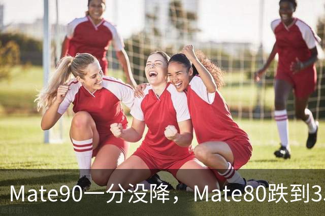 Mate90一分没降，Mate80跌到3599元：双11买华为优先看这三款